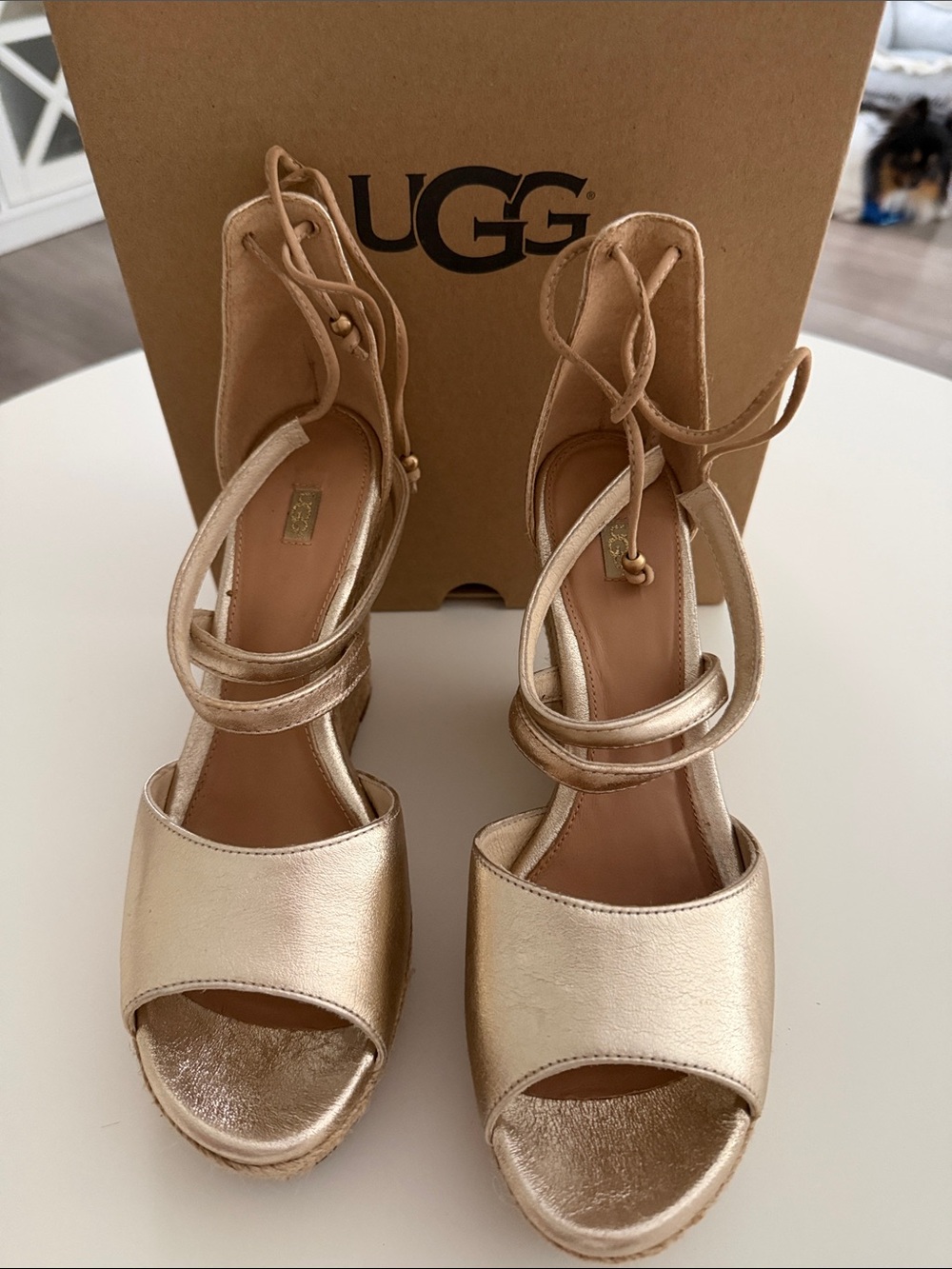 UGG Women's Metallic Champagne Lace-Up Wedge Sandals